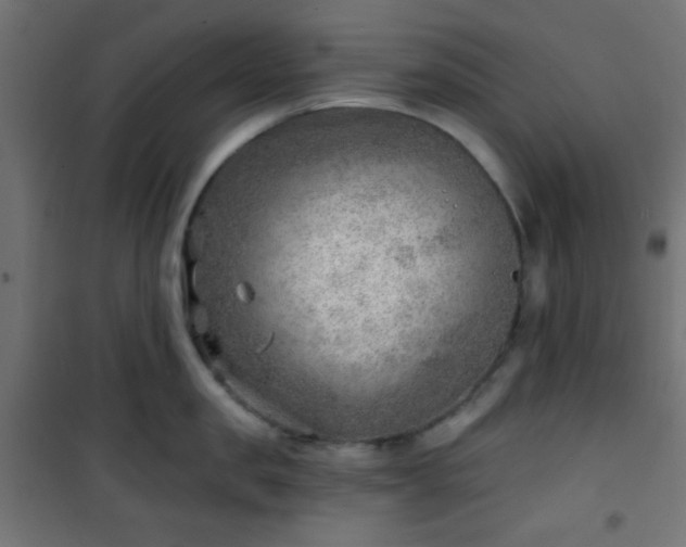 X0000101470957200807141348