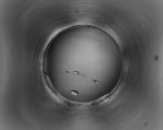 X0000101470958200807141348