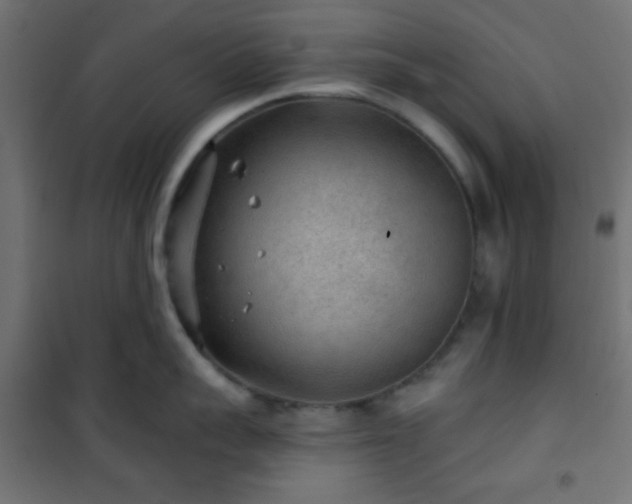 X0000101470959200807141348