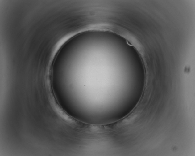 X0000101470960200807141348