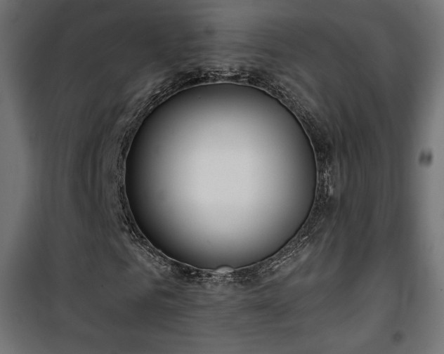 X0000101470961200807141347