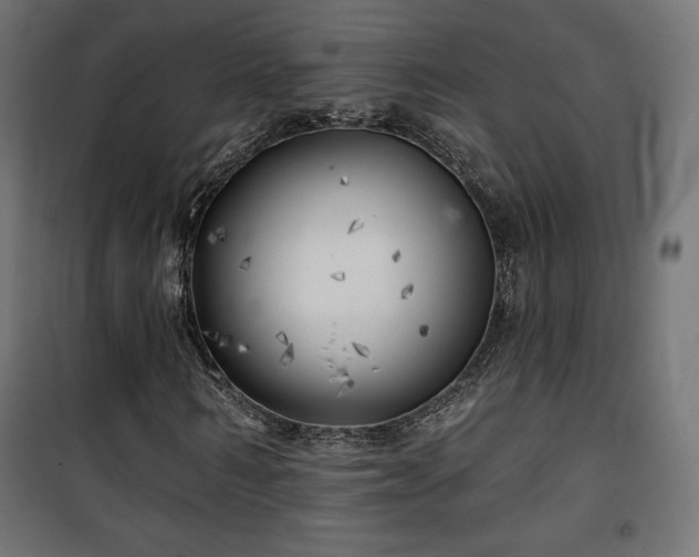 X0000101470962200807141347