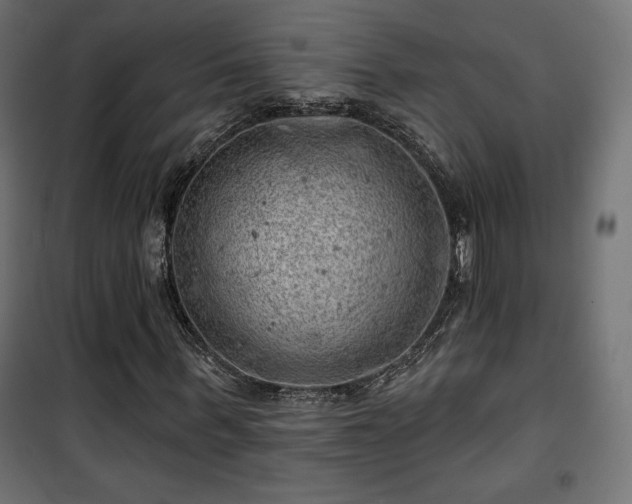 X0000101470963200807141347