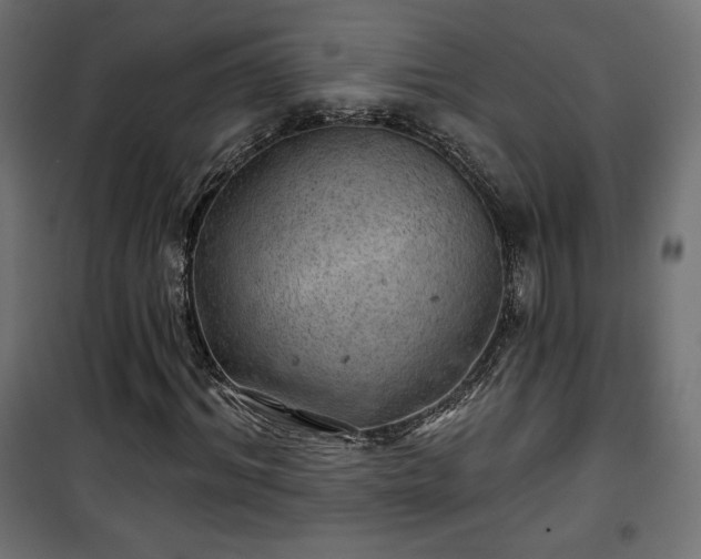 X0000101470964200807141347