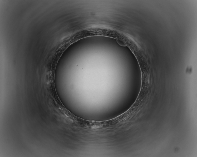 X0000101470965200807141347