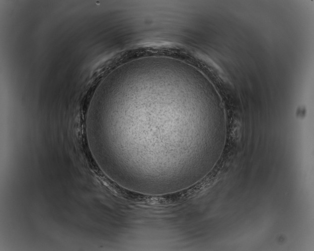 X0000101470966200807141347