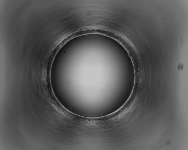 X0000101470969200807141347