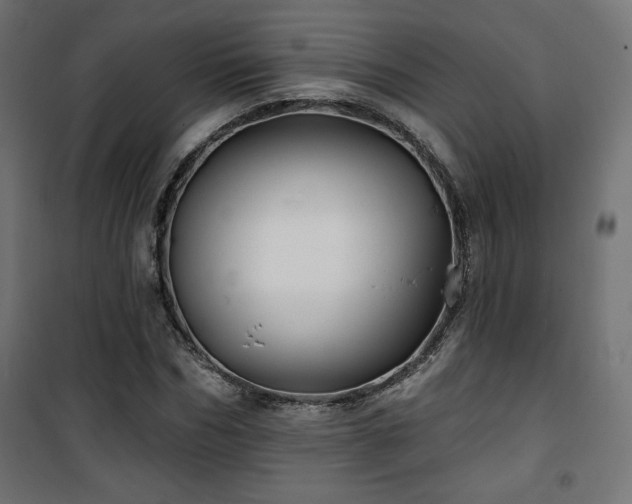 X0000101470970200807141347