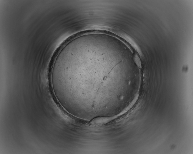 X0000101470972200807141347