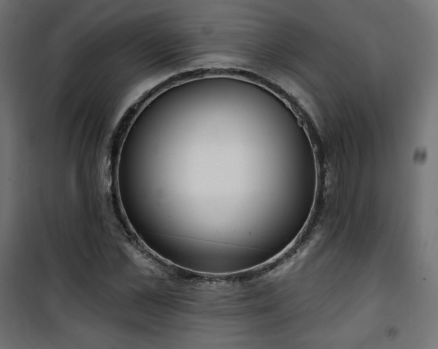 X0000101470973200807141347