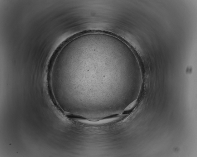 X0000101470976200807141347