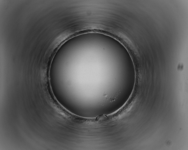 X0000101470977200807141347