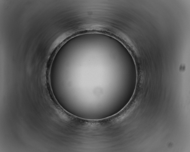 X0000101470978200807141347