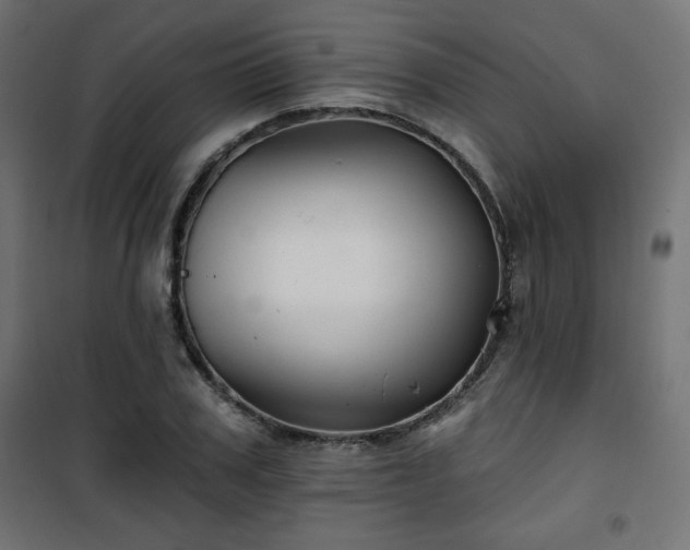 X0000101470979200807141347