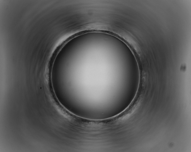 X0000101470981200807141347