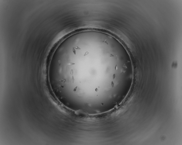 X0000101470982200807141347