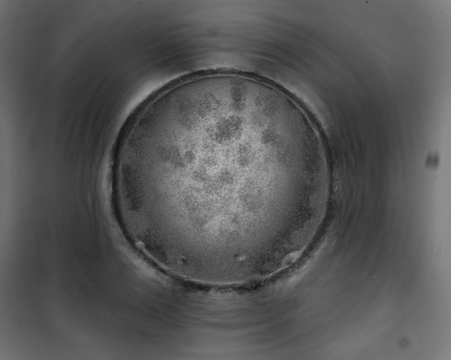 X0000101470983200807141347