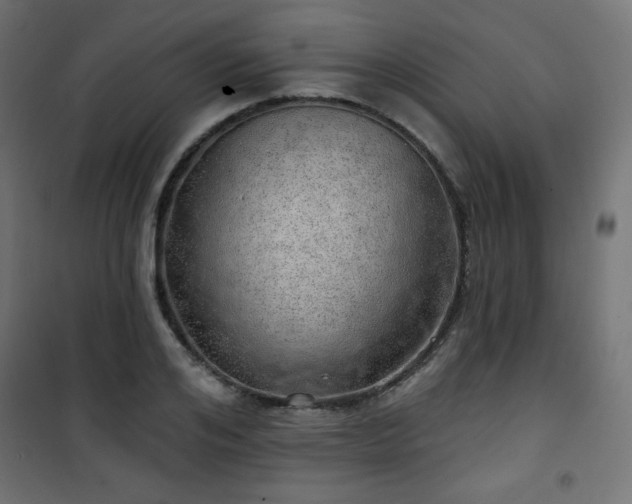 X0000101470984200807141347