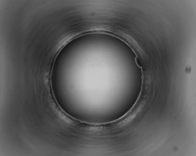 X0000101470985200807141347