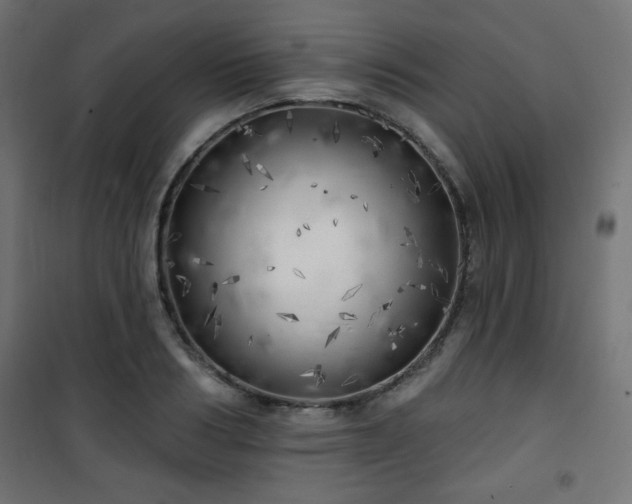 X0000101470986200807141347