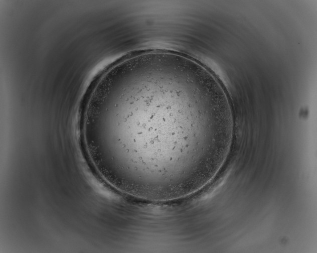 X0000101470987200807141347