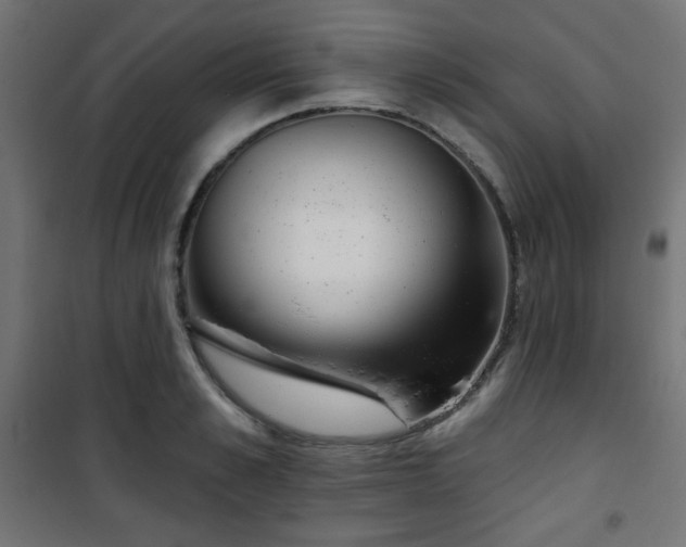 X0000101470989200807141347