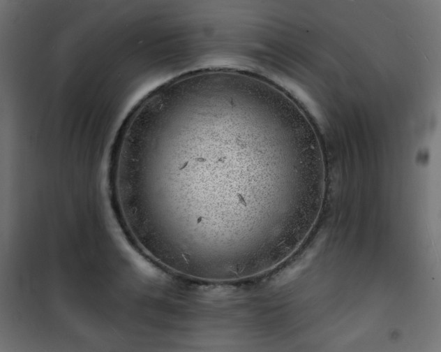 X0000101470991200807141346