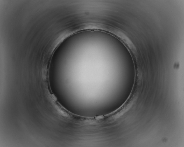 X0000101470993200807141346