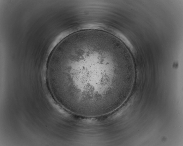 X0000101470994200807141346