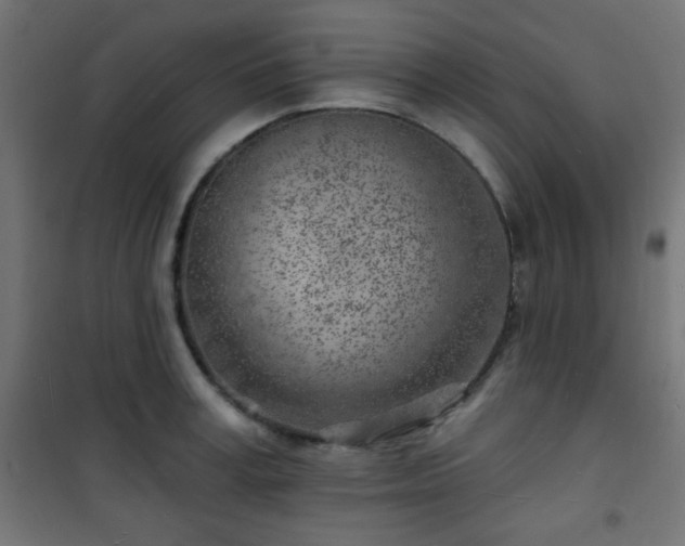 X0000101470995200807141346