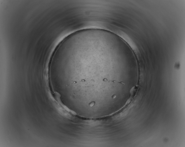 X0000101470996200807141346