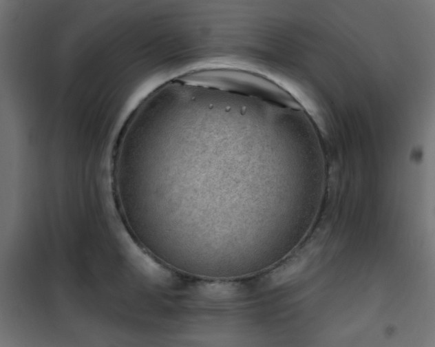 X0000101470998200807141346