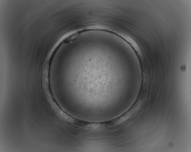 X0000101471000200807141346