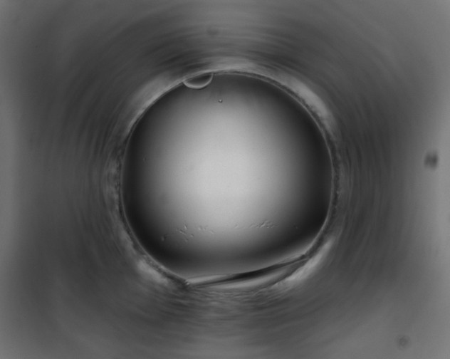 X0000101471001200807141346