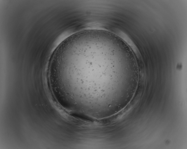 X0000101471002200807141346