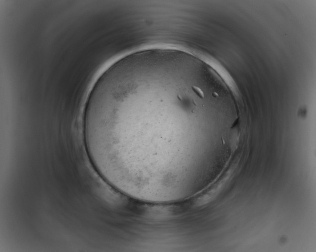 X0000101471004200807141346