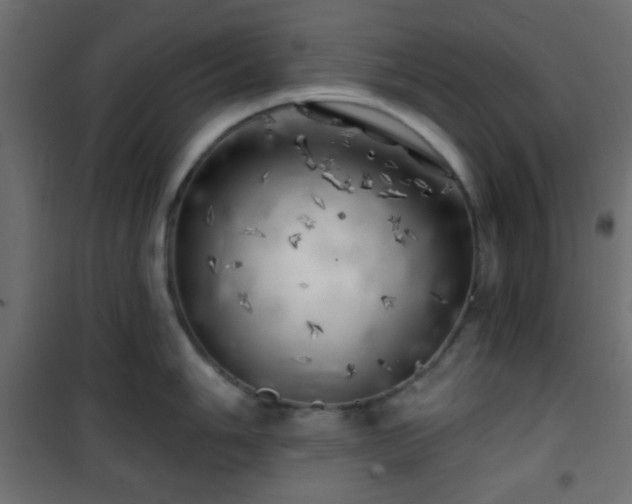 X0000101471006200807141346