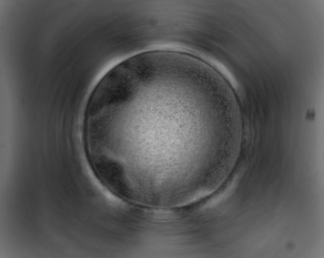 X0000101471007200807141346