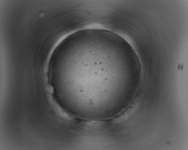 X0000101471008200807141346