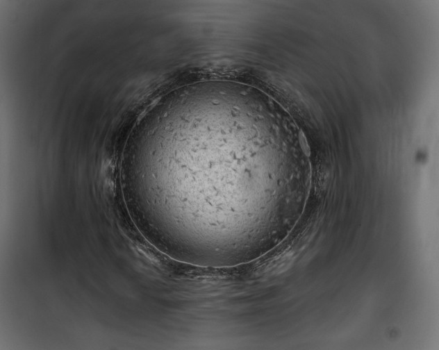 X0000101471010200807141346