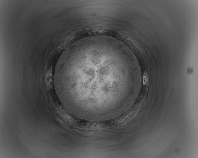 X0000101471011200807141346