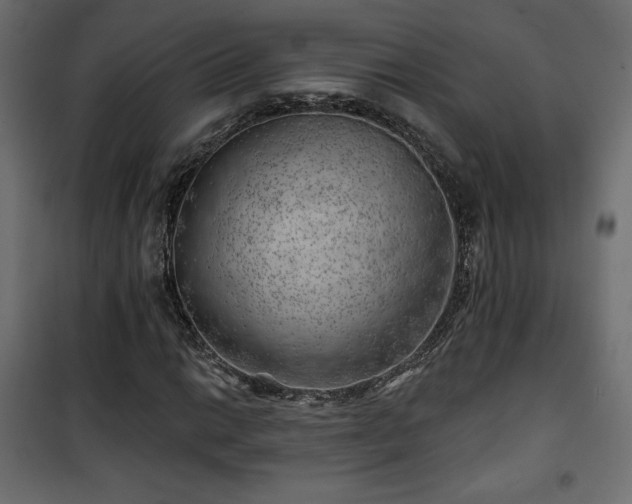 X0000101471014200807141346