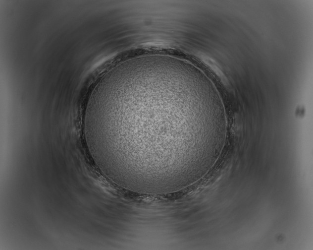 X0000101471015200807141346