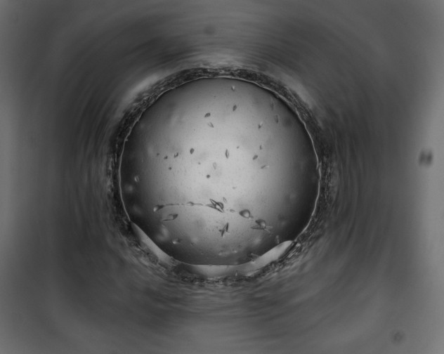 X0000101471016200807141346