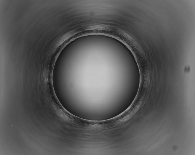 X0000101471017200807141346