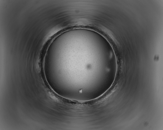 X0000101471018200807141346