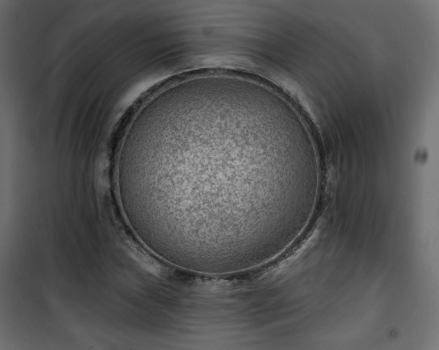 X0000101471019200807141346