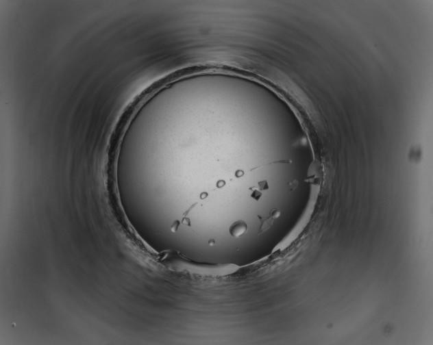 X0000101471020200807141346