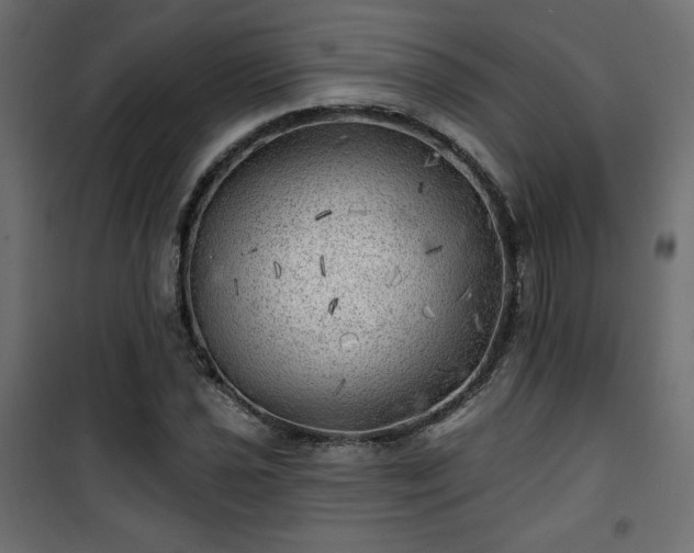 X0000101471021200807141346
