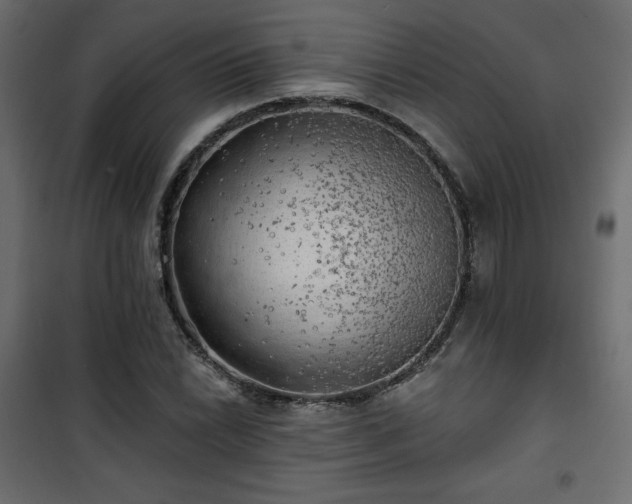 X0000101471022200807141346